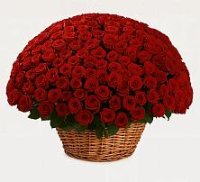 Премиум букет из: Розы в Нижней Омке